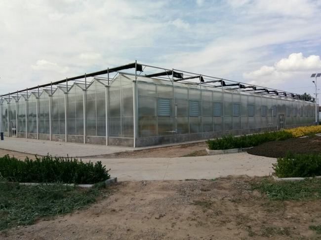 2016年建成的甘肃省正宁县农牧局宝源绿洲高效农业示范园